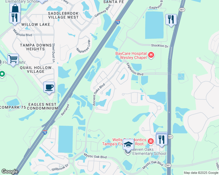 map of restaurants, bars, coffee shops, grocery stores, and more near 4320 Rustic Pine Place in Wesley Chapel