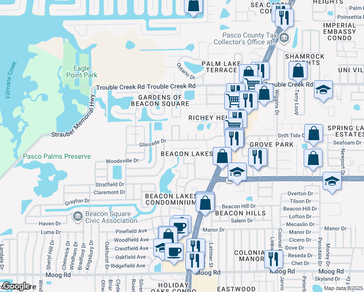 map of restaurants, bars, coffee shops, grocery stores, and more near 4451 Tidal Pond Road in New Port Richey