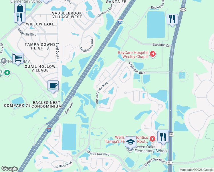 map of restaurants, bars, coffee shops, grocery stores, and more near 4311 Rustic Pine Place in Wesley Chapel
