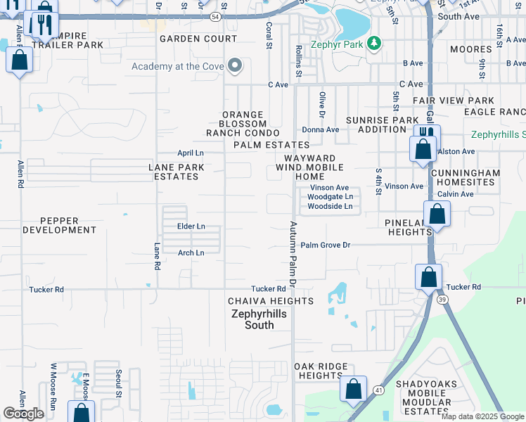 map of restaurants, bars, coffee shops, grocery stores, and more near 4221 Autumn Palm Drive in Zephyrhills