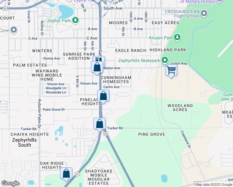 map of restaurants, bars, coffee shops, grocery stores, and more near 38621 Fir Avenue in Zephyrhills