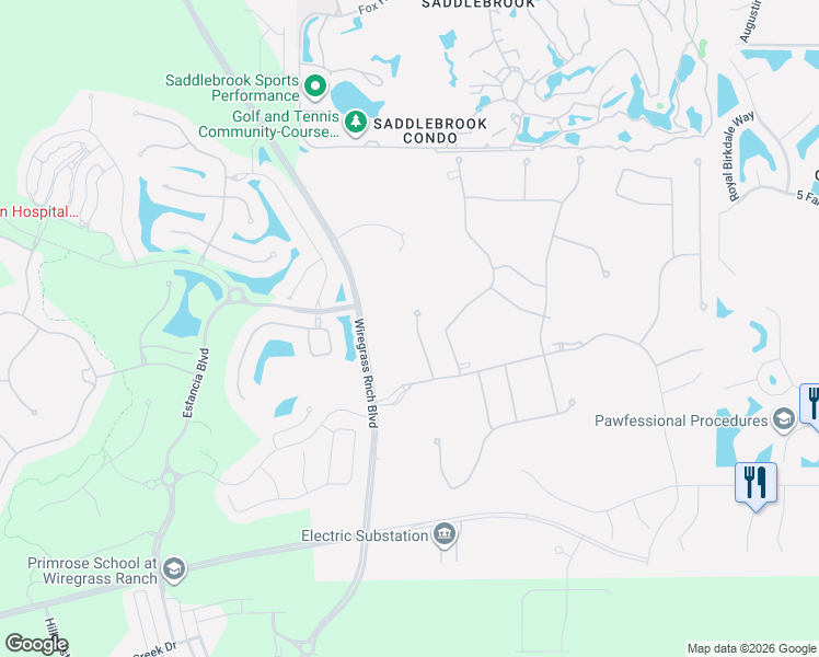 map of restaurants, bars, coffee shops, grocery stores, and more near 4333 Cairoli Court in Wesley Chapel