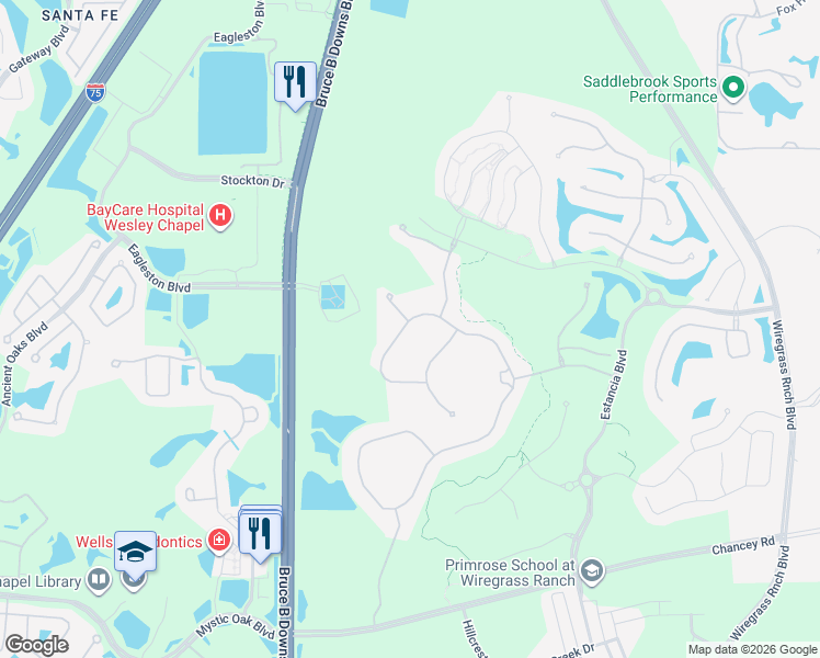 map of restaurants, bars, coffee shops, grocery stores, and more near 29657 Picana Lane in Wesley Chapel