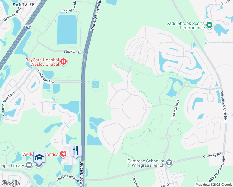 map of restaurants, bars, coffee shops, grocery stores, and more near 29657 Picana Lane in Wesley Chapel