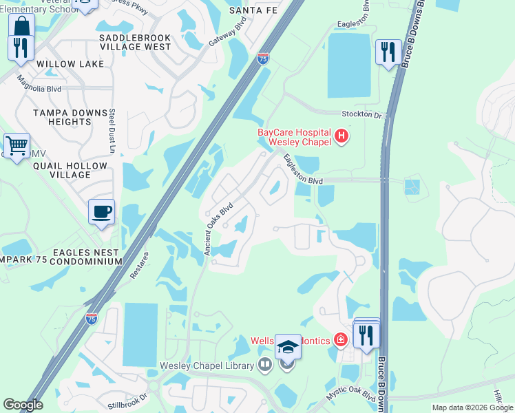 map of restaurants, bars, coffee shops, grocery stores, and more near 4320 Rustic Pine Place in Wesley Chapel