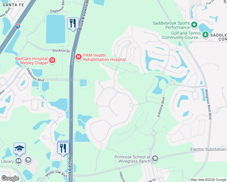 map of restaurants, bars, coffee shops, grocery stores, and more near 29527 Picana Lane in Wesley Chapel