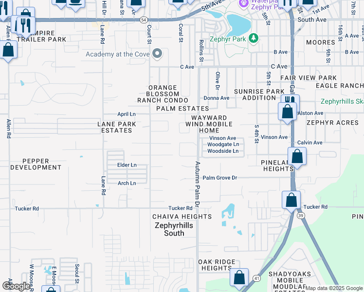 map of restaurants, bars, coffee shops, grocery stores, and more near 4221 Autumn Palm Drive in Zephyrhills