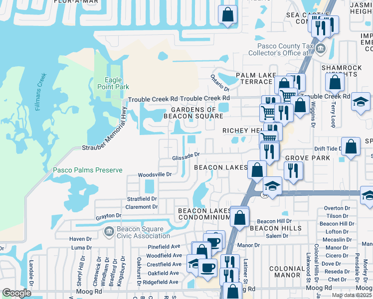 map of restaurants, bars, coffee shops, grocery stores, and more near 4234 Tamargo Drive in New Port Richey
