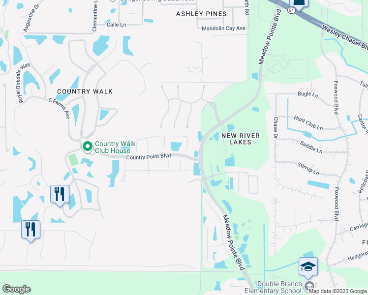map of restaurants, bars, coffee shops, grocery stores, and more near 4403 O' Rourke Court in Wesley Chapel