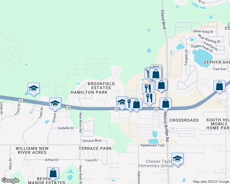 map of restaurants, bars, coffee shops, grocery stores, and more near 4331 Point Cypress Boulevard in Wesley Chapel
