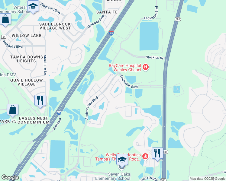 map of restaurants, bars, coffee shops, grocery stores, and more near 4143 Wildstar Circle in Wesley Chapel