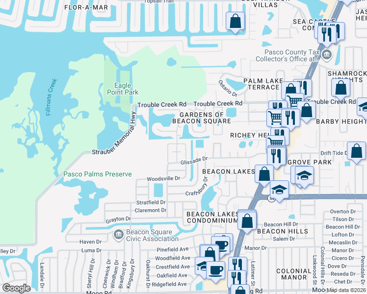 map of restaurants, bars, coffee shops, grocery stores, and more near 4234 Tamargo Drive in New Port Richey
