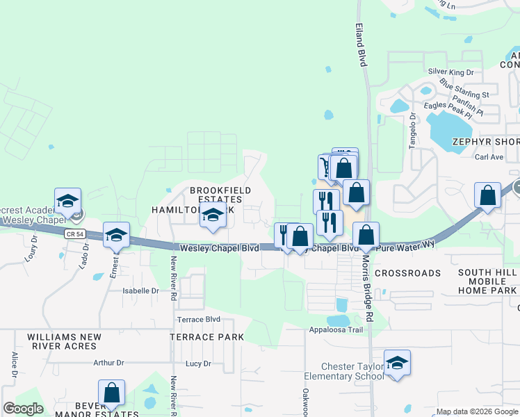 map of restaurants, bars, coffee shops, grocery stores, and more near 4330 Point Cypress Boulevard in Wesley Chapel