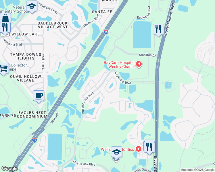 map of restaurants, bars, coffee shops, grocery stores, and more near 4143 Wildstar Circle in Wesley Chapel