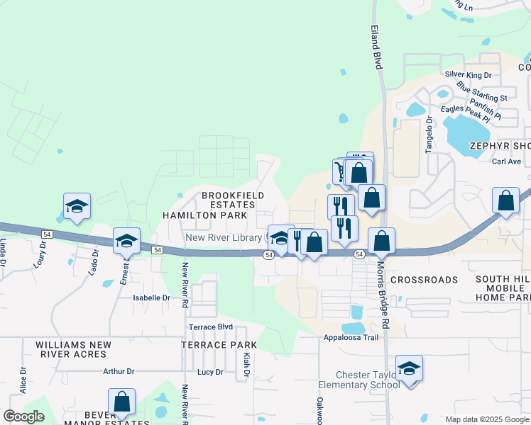 map of restaurants, bars, coffee shops, grocery stores, and more near 4455 Fieldview Circle in Wesley Chapel