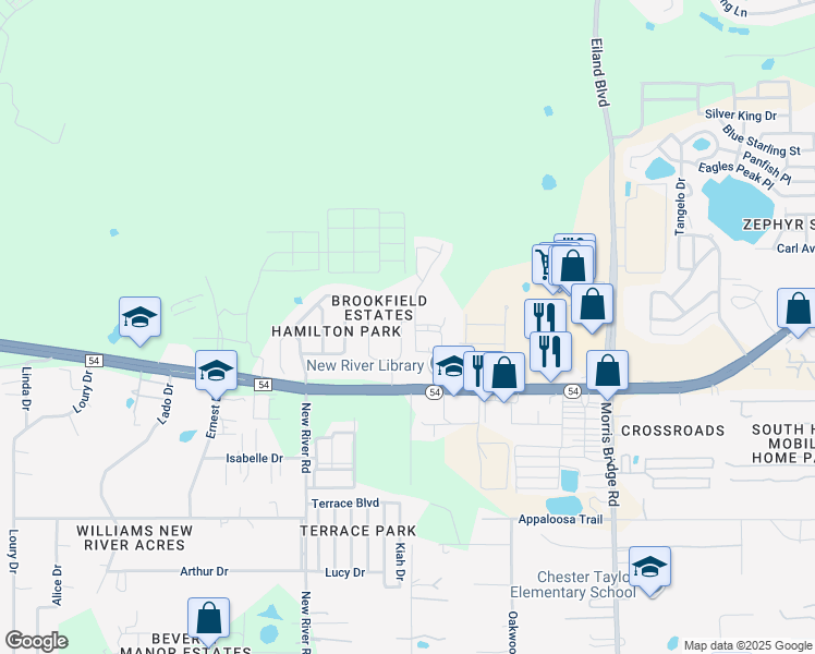 map of restaurants, bars, coffee shops, grocery stores, and more near 4455 Fieldview Circle in Wesley Chapel