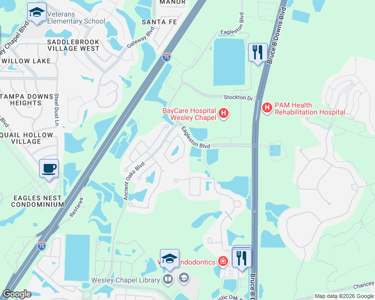 map of restaurants, bars, coffee shops, grocery stores, and more near 4338 Wildstar Cir in Wesley Chapel