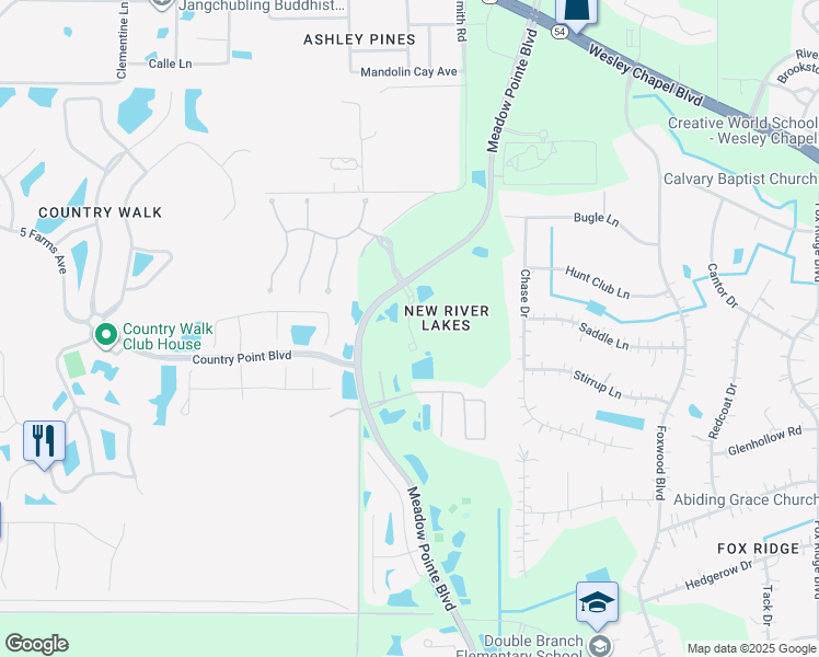 map of restaurants, bars, coffee shops, grocery stores, and more near 4428 Fennwood Court in Wesley Chapel