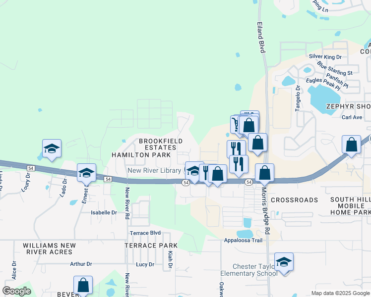 map of restaurants, bars, coffee shops, grocery stores, and more near 4455 Fieldview Circle in Wesley Chapel