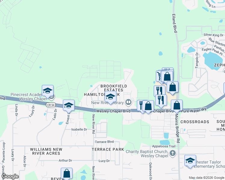 map of restaurants, bars, coffee shops, grocery stores, and more near 4354 Fieldview Circle in Wesley Chapel