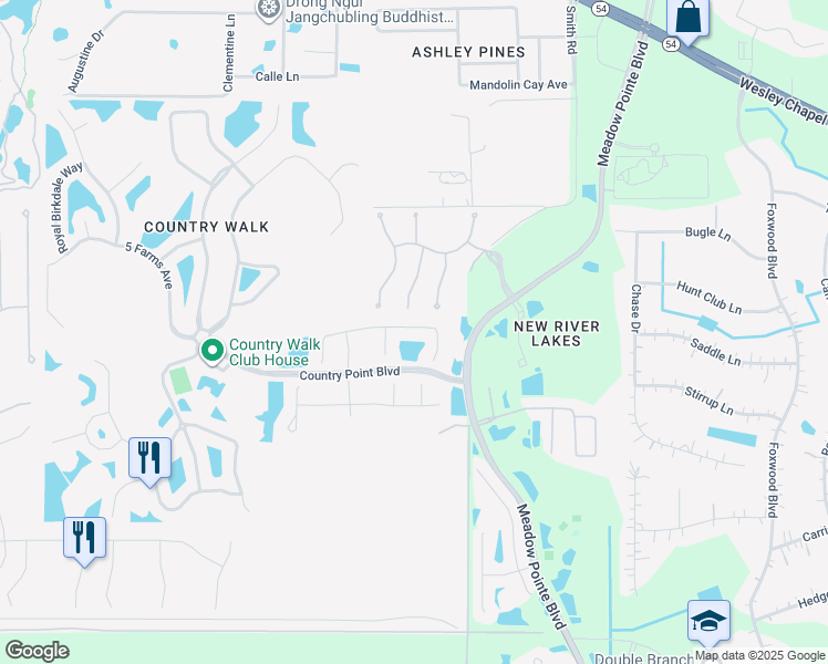 map of restaurants, bars, coffee shops, grocery stores, and more near 30838 Pumpkin Ridge Drive in Wesley Chapel
