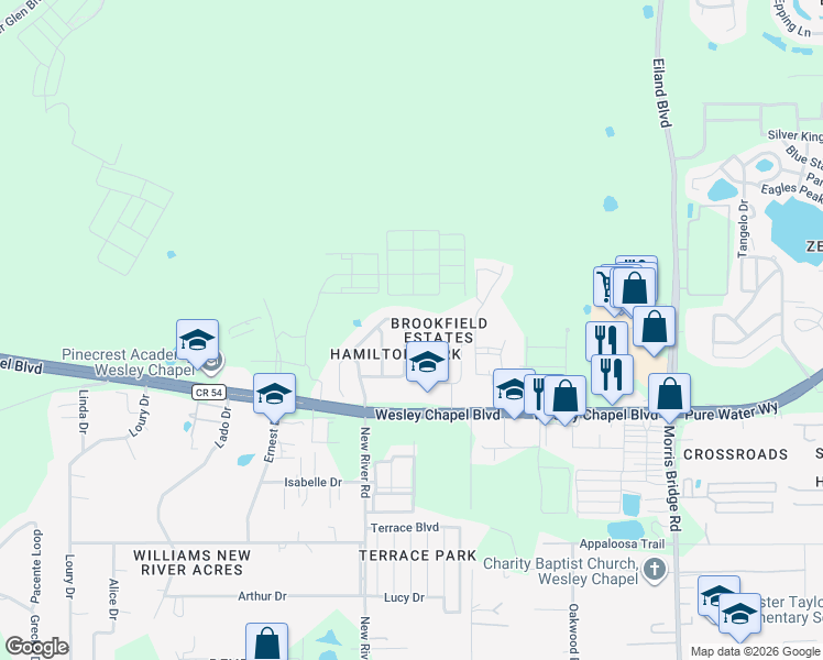 map of restaurants, bars, coffee shops, grocery stores, and more near 4420 Huddlestone Drive in Wesley Chapel