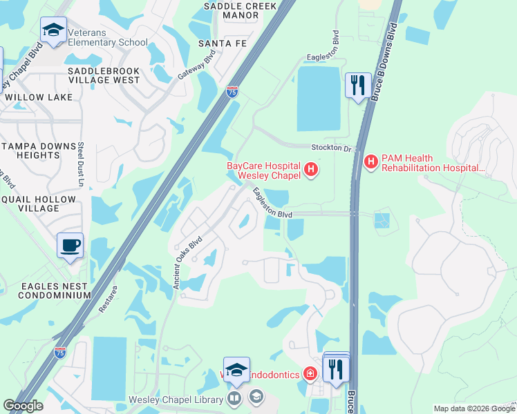 map of restaurants, bars, coffee shops, grocery stores, and more near 4338 Wildstar Circle in Wesley Chapel