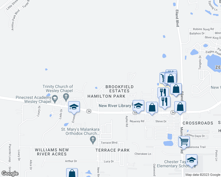 map of restaurants, bars, coffee shops, grocery stores, and more near 4426 Huddlestone Drive in Wesley Chapel