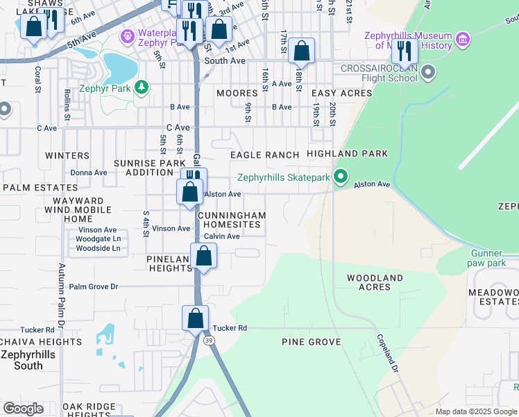 map of restaurants, bars, coffee shops, grocery stores, and more near 38716 Alston Avenue in Zephyrhills