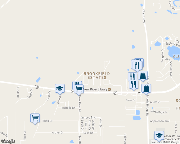 map of restaurants, bars, coffee shops, grocery stores, and more near 4432 Huddlestone Drive in Wesley Chapel