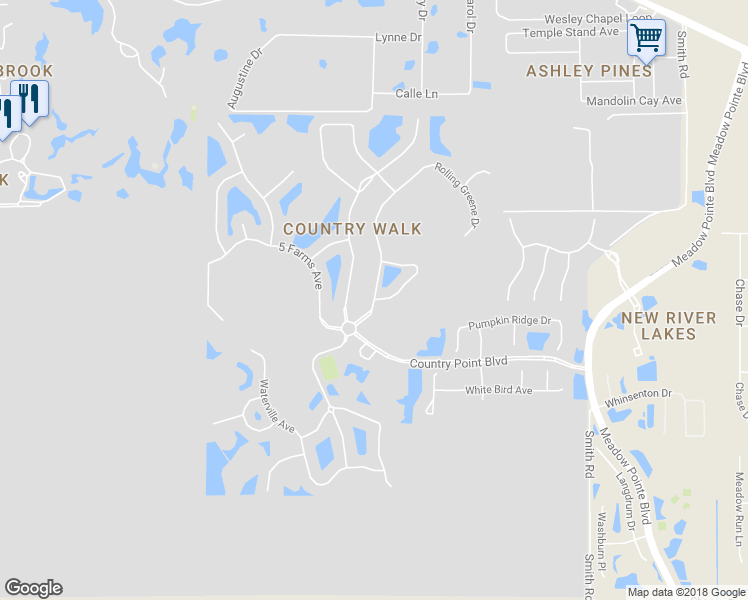 map of restaurants, bars, coffee shops, grocery stores, and more near 4545 Rolling Greene Drive in Wesley Chapel