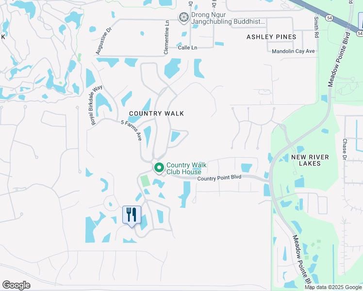 map of restaurants, bars, coffee shops, grocery stores, and more near 30433 Pecan Valley Loop in Wesley Chapel