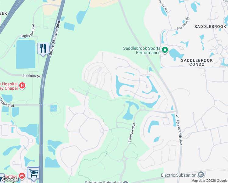 map of restaurants, bars, coffee shops, grocery stores, and more near 28704 Revaro Lane in Zephyrhills
