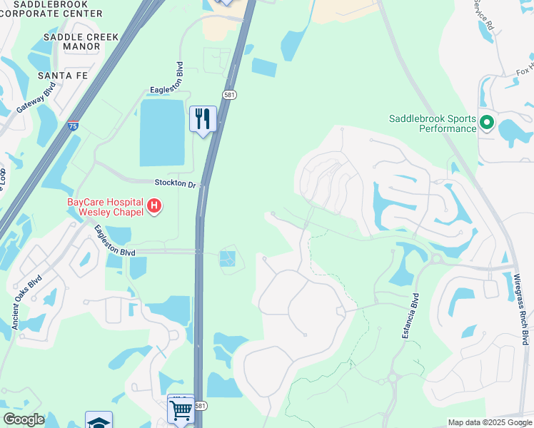 map of restaurants, bars, coffee shops, grocery stores, and more near 28230 Forelli Court in Wesley Chapel