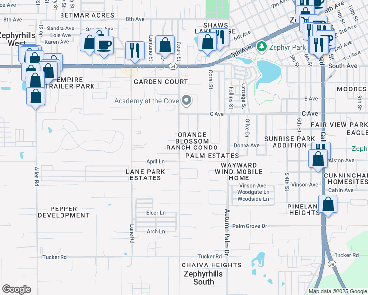 map of restaurants, bars, coffee shops, grocery stores, and more near 37722 Alissa Drive in Zephyrhills