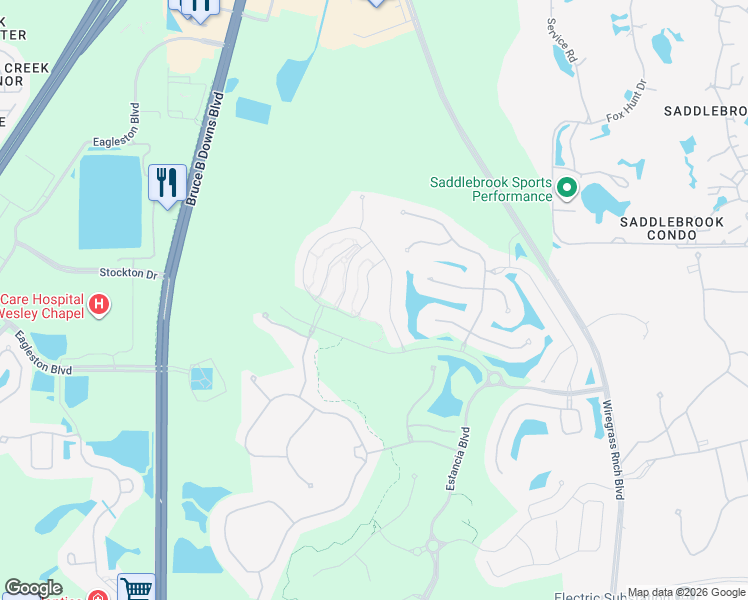 map of restaurants, bars, coffee shops, grocery stores, and more near 4612 San Martino Dr in Wesley Chapel