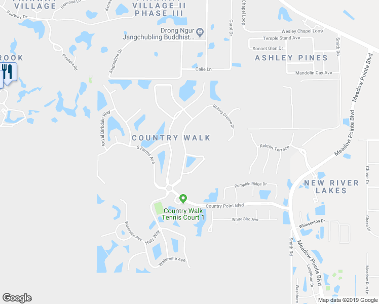map of restaurants, bars, coffee shops, grocery stores, and more near 30612 Pecan Valley Loop in Wesley Chapel