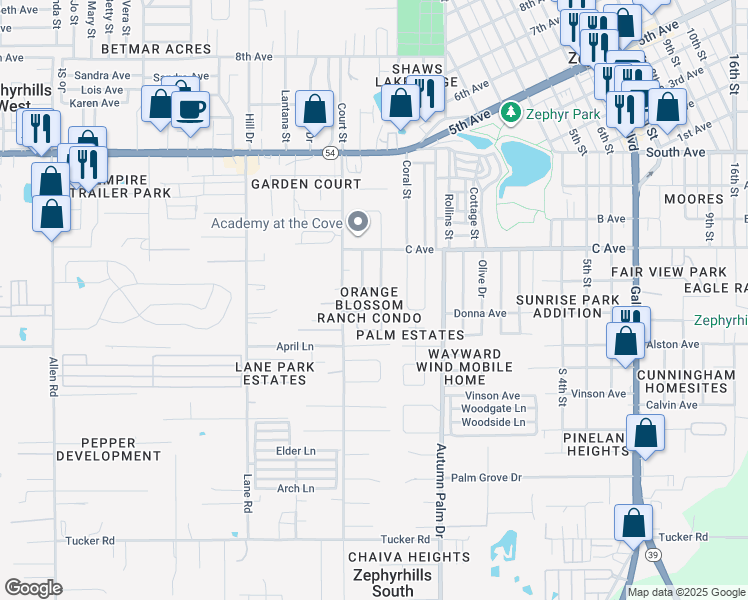 map of restaurants, bars, coffee shops, grocery stores, and more near 4607 Blossom Boulevard in Zephyrhills