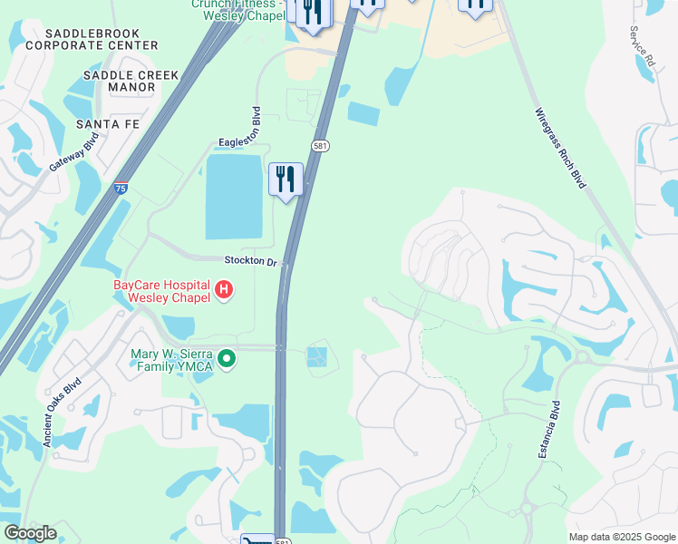 map of restaurants, bars, coffee shops, grocery stores, and more near 28230 Forelli Court in Wesley Chapel