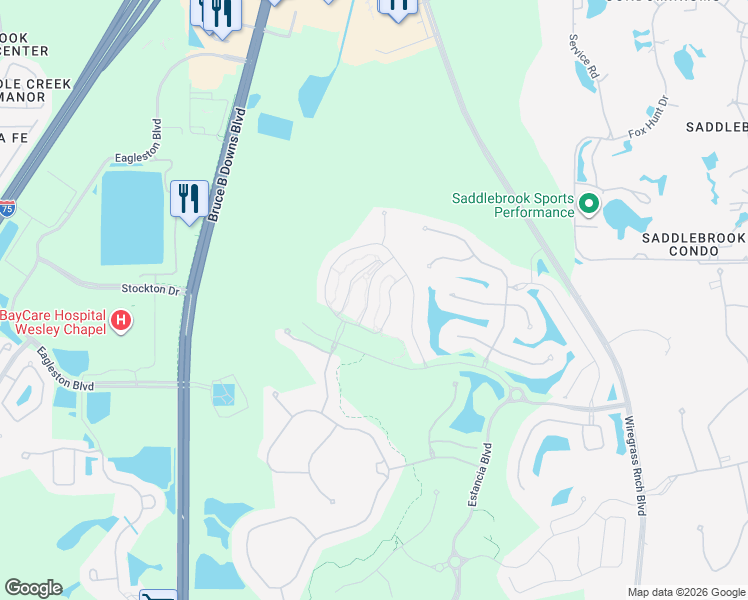 map of restaurants, bars, coffee shops, grocery stores, and more near 4664 Lagona Lane in Wesley Chapel