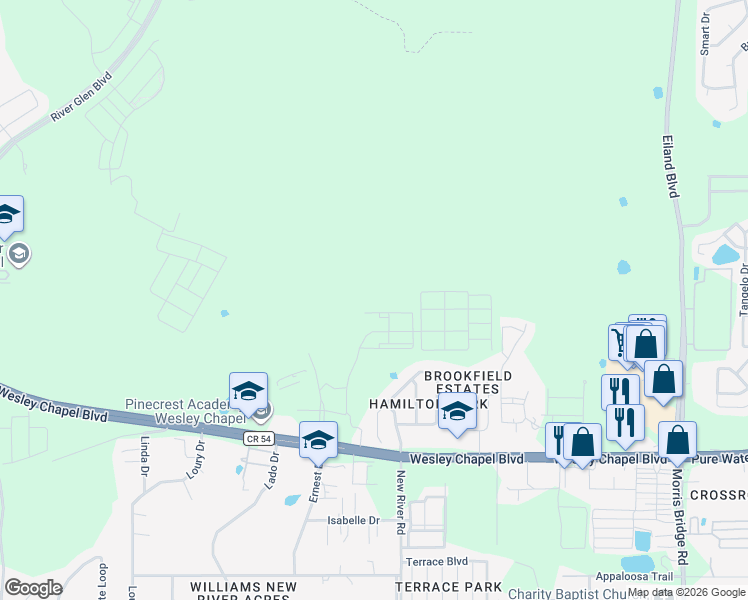 map of restaurants, bars, coffee shops, grocery stores, and more near 33619 Florida 54 in Zephyrhills