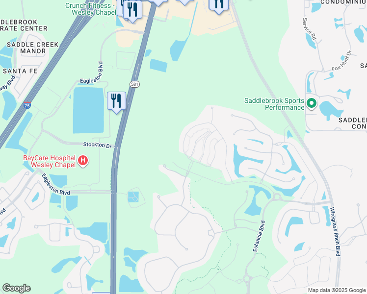 map of restaurants, bars, coffee shops, grocery stores, and more near 5110 San Martino Dr in Wesley Chapel