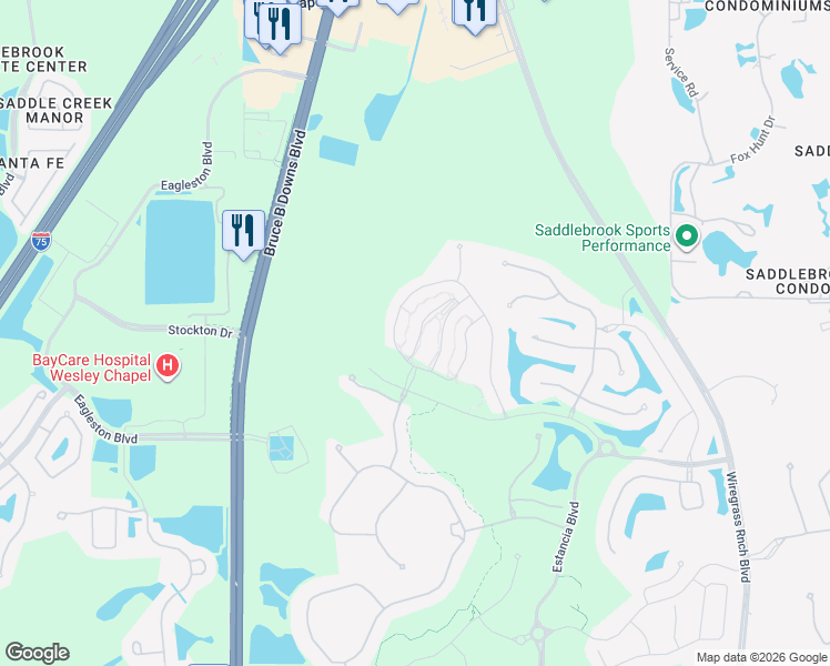map of restaurants, bars, coffee shops, grocery stores, and more near 4565 Ancona Way in Wesley Chapel