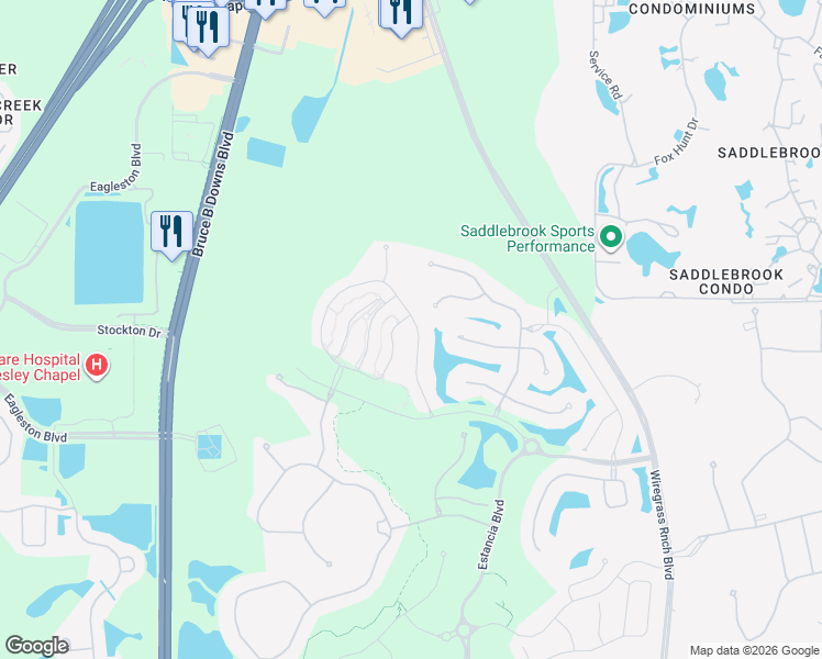 map of restaurants, bars, coffee shops, grocery stores, and more near 4711 San Martino Dr in Wesley Chapel