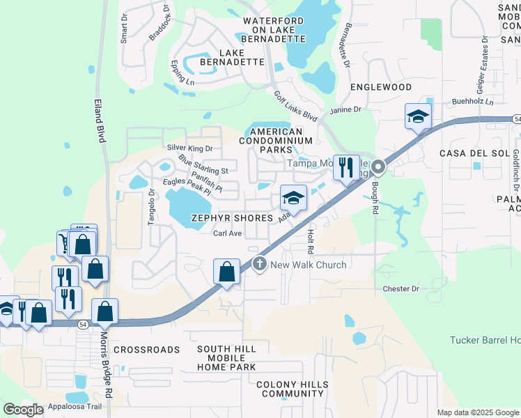 35033 Zephyr Shores Drive, Zephyrhills FL Walk Score