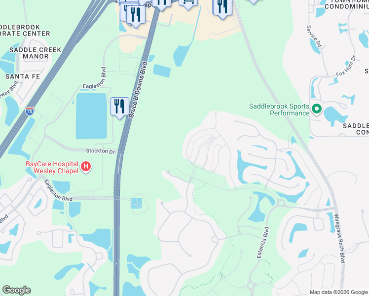 map of restaurants, bars, coffee shops, grocery stores, and more near in Wesley Chapel