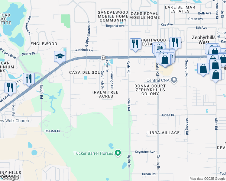map of restaurants, bars, coffee shops, grocery stores, and more near 4648 Flamingo Drive in Zephyrhills
