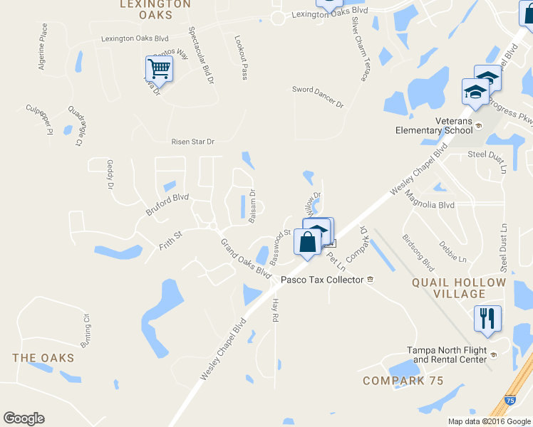 map of restaurants, bars, coffee shops, grocery stores, and more near 26046 Sawgrass Court in Land O' Lakes