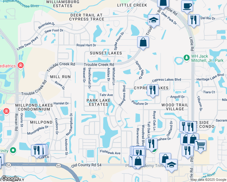 map of restaurants, bars, coffee shops, grocery stores, and more near 4601 Whitetail Lane in New Port Richey