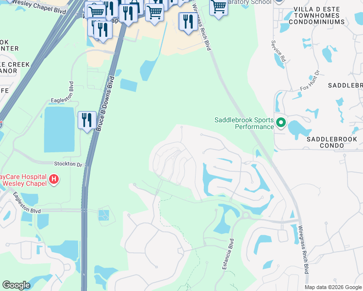 map of restaurants, bars, coffee shops, grocery stores, and more near 4820 San Martino Dr in Wesley Chapel